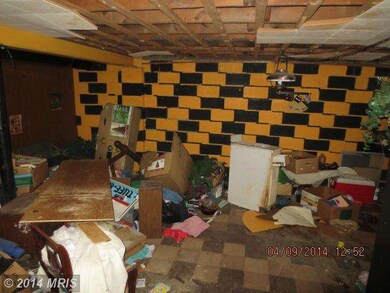 113 N Edgewood St, Baltimore, MD 21229 - photo 6