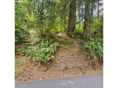 0 Coal Creek Rd, Scappoose, OR 97056 - photo 4