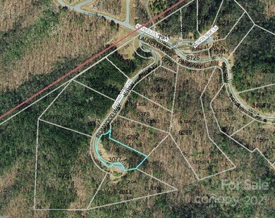 Lot 1320 Round Leaf Ln, Ferguson, NC 28624 - photo 5