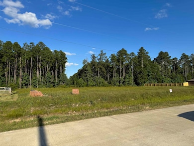 1715 Haidlyns Way, Sour Lake, TX 77659 - photo 2