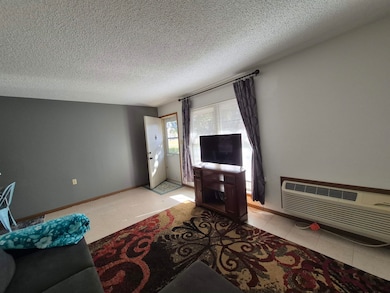 407 W Main St, Toronto, KS 66777 - photo 4