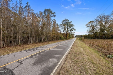 0 Sheppard Mill Rd, Stokes, NC 27884 - photo 7