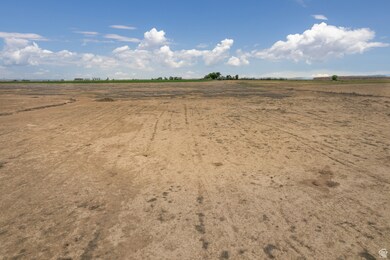 View of yard with a view of rural / pastoral area