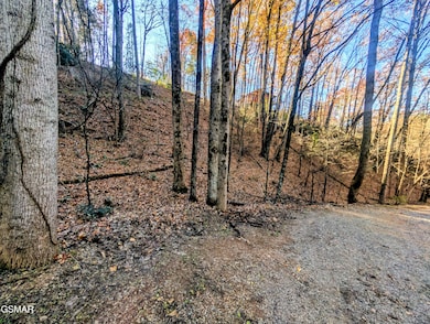 Lot 194A Ski View Ln, Sevierville, TN 37876 - photo 4