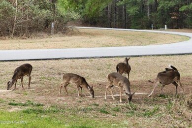 Riversound Deer