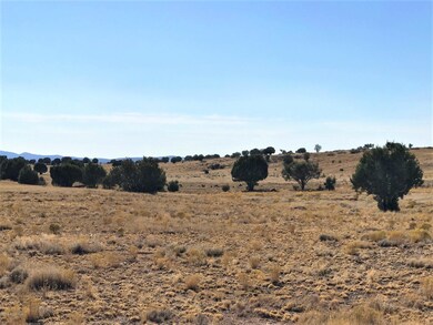 77 Off of Rawhide Ranch, Ash Fork, AZ 86320 - photo 6