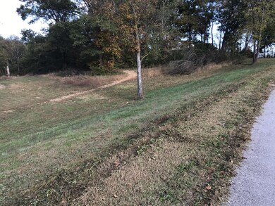 131 Temple Ford Rd, Shelbyville, TN 37160 - photo 3