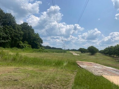 5368 Honey Suckle Rd, Baconton, GA 31716 - photo 3