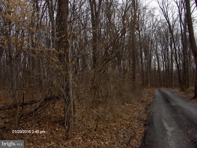 0 Corner of Camp unit 1002733125, Stevens, PA 17578 - photo 3