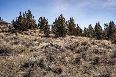 2023_03_17_lot_38_cinder_cone_loop_crr-2