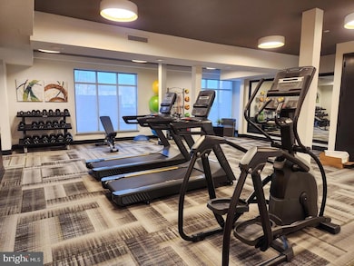 10755 Fairgrounds Dr unit 408, Fairfax, VA 22030 - photo 7