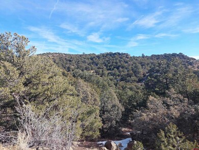 37 Turkey Creek Rd, South Fork, CO 81154 - photo 2