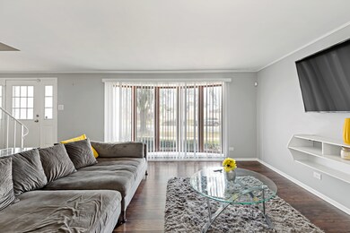 4545 207th St, Matteson, IL 60443 - photo 5