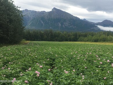 24220 E Bannon Way, Sutton-Alpine, AK 99674 - photo 2