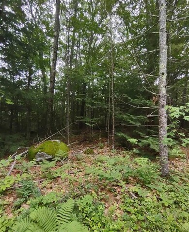 0 Albert St unit 12 4870525, Moultonborough, NH 03254 - photo 7