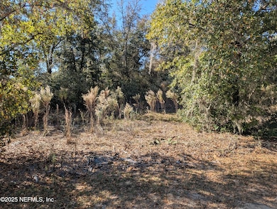 0070-0330 California Ave, Interlachen, FL 32148 - photo 3