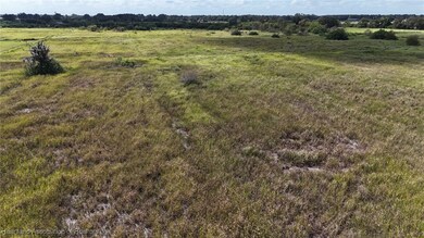 445 Metheny Rd, Wauchula, FL 33873 - photo 7