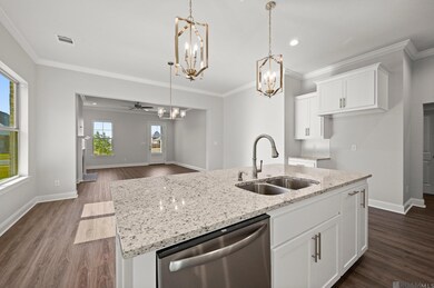 5140 Black River Rd, Darrow, LA 70725 - photo 6