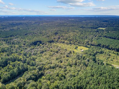 000 Eagle Terrace Trail, Cross, SC 29436 - photo 5