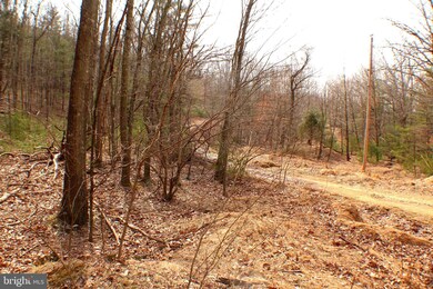 Lot 14 Leisure Acres Rd, Wardensville, WV 26851 - photo 7