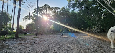 3335 Dellwood Rd, Loxahatchee, FL 33470 - photo 3