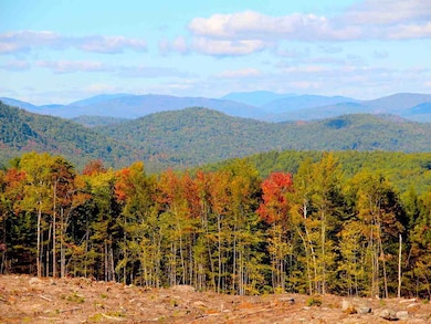 2 Snow Rd, Hill, NH 03243 - photo 7