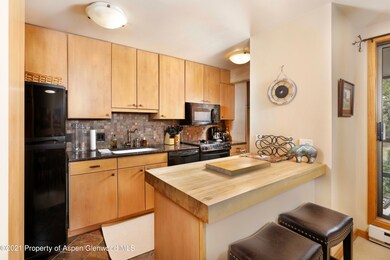 1028 E Hopkins Ave unit 24, Aspen, CO 81611 - photo 5