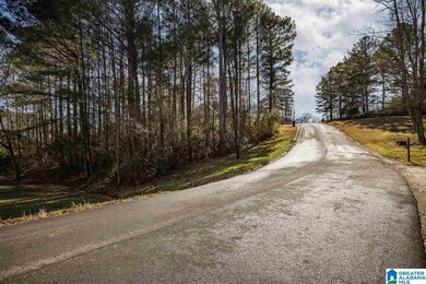 0 Scenic Trail unit 21411084, Oneonta, AL 35121 - photo 2