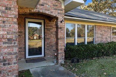 16 Pr (Private Road) 52365, Pittsburg, TX 75686 - photo 6