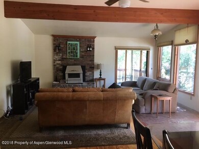 16 E Lupine Dr, Aspen, CO 81611 - photo 5