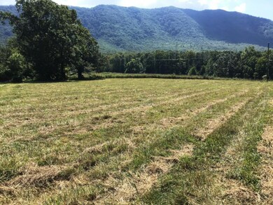 Lot 26 Cutshaw Ln, Greeneville, TN 37743 - photo 2