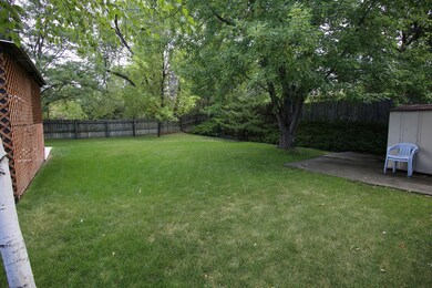 Back Yard V1