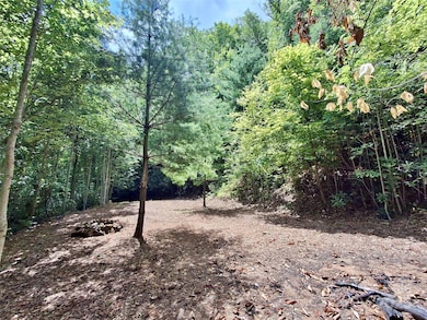 0 Sometimes Creek Rd, Sylva, NC 28779 - photo 3