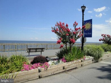 4013 10th St, North Beach, MD 20714 - photo 4