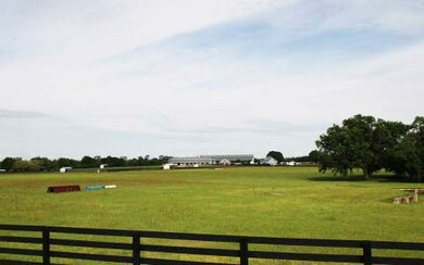 LOT12 Mandiba Dr, Lake City, FL 32025 - photo 3