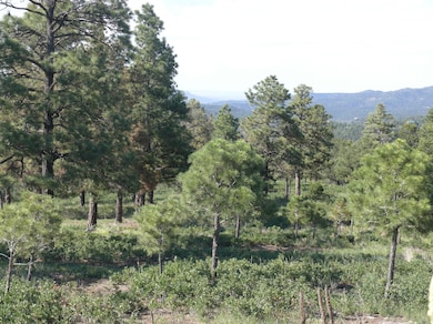 Another nice treed areas