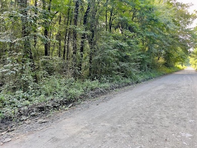 View of dirt / gravel road featuring a wooded view