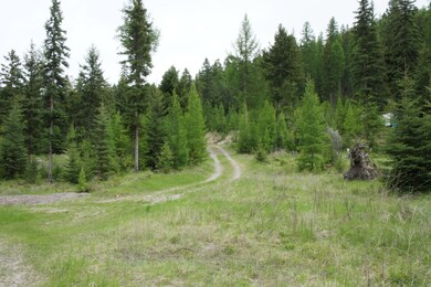 1100 Spring Hill Rd, Kila, MT 59920 - photo 6