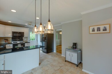 6837 Lamp Post Ln, Alexandria, VA 22306 - photo 6