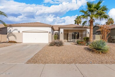 02 Smoke Tree 74