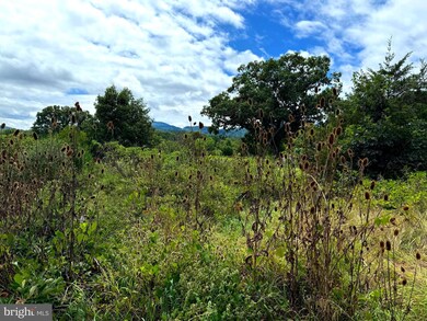 425 Wisteria Ln, Old Fields, WV 26845 - photo 6