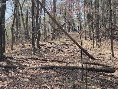 155 Chelaque Way, Mooresburg, TN 37811 - photo 5