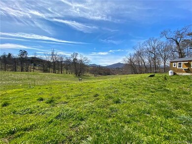 160 Dix Creek Chapel Rd, Asheville, NC 28806 - photo 6