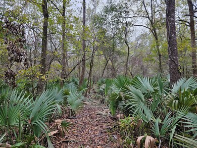 0000 Rd, Conroe, TX 77302 - photo 5