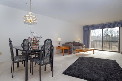 Living room / dining area