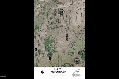 4127 Aspen Camp Loop Lot 75-014-13-AC 75