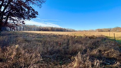 26XXX 175th Ave, Fort Ripley, MN 56449 - photo 4