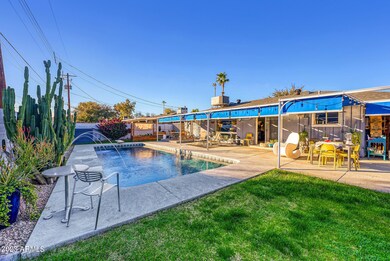 Entertainers backyard