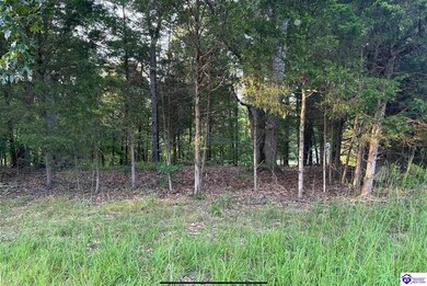 539 Strawberry Hill Dr, Doe Valley, KY 40108 - photo 7