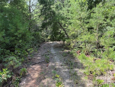 Driveway in place on Lot 163